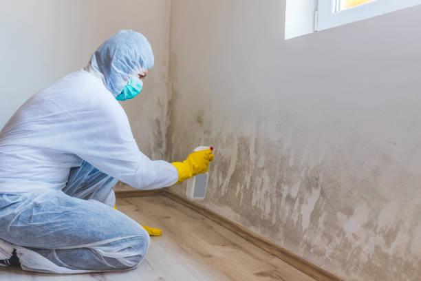 Hvac And Air Duct Mold Remediation inspection of HVAC system in Glen Echo
