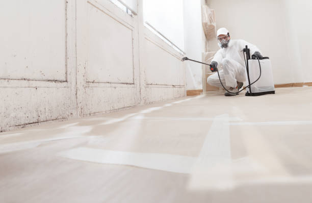 Black mold remediation team in Glen Echo